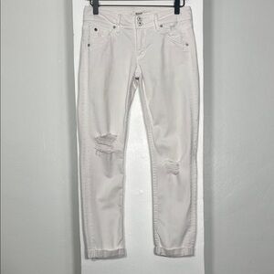 Hudson Collin Crop Skinny W/Cuff Jeans